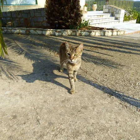 Sea View Studio With Garden 7min To The Beach Διαμέρισμα Καλαμάτα